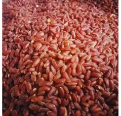 Mapillai Samba Rice (Boiled)