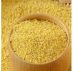 Thinai/Foxtail Millet