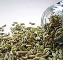 Sombhu / Fennel Seeds