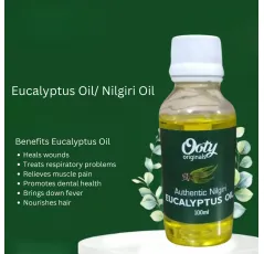 Eucalyptus Oil